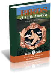 Birds of North America